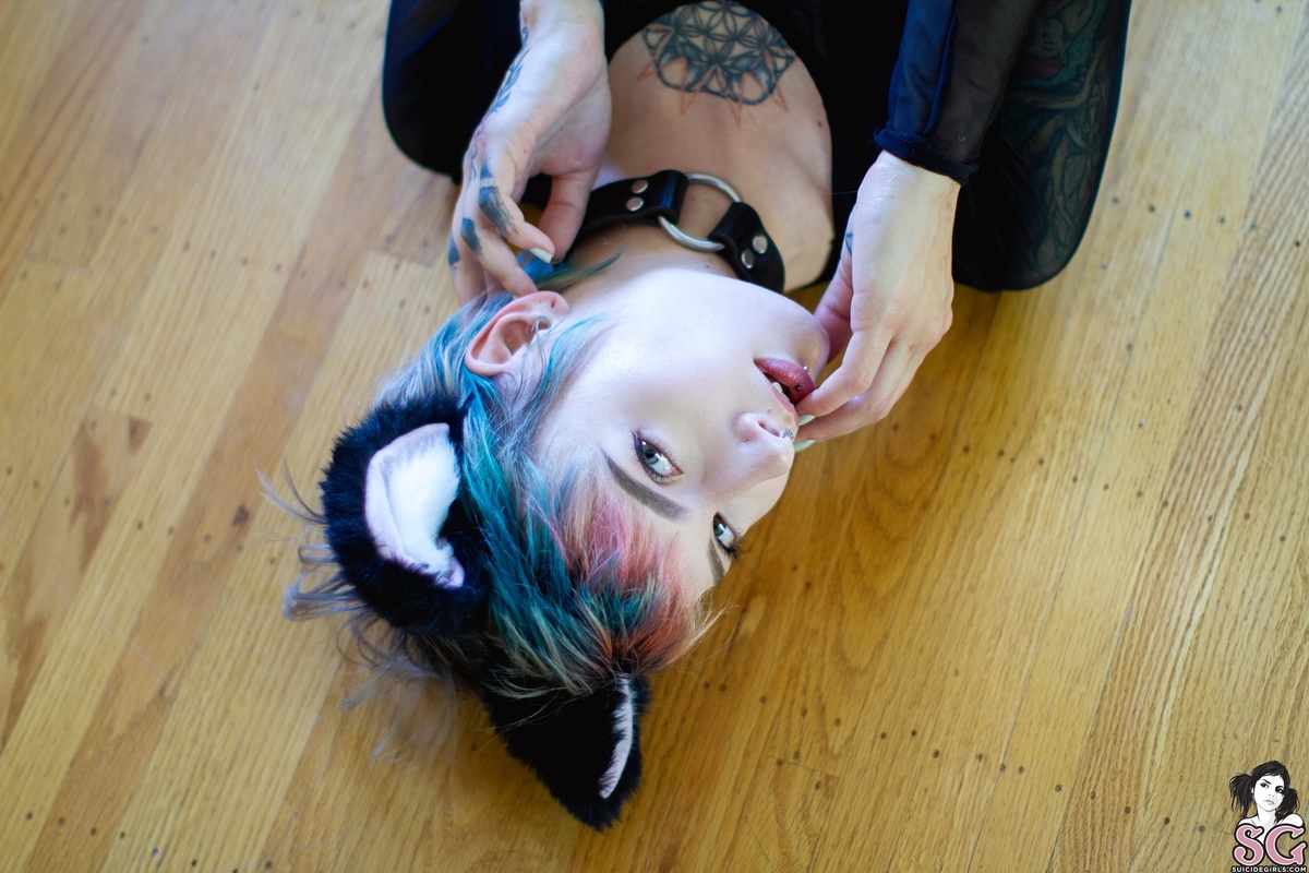 stormyent-myfavoritecat-09.jpg