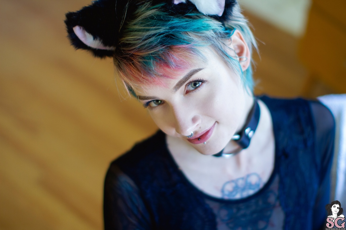 stormyent-myfavoritecat-11.jpg