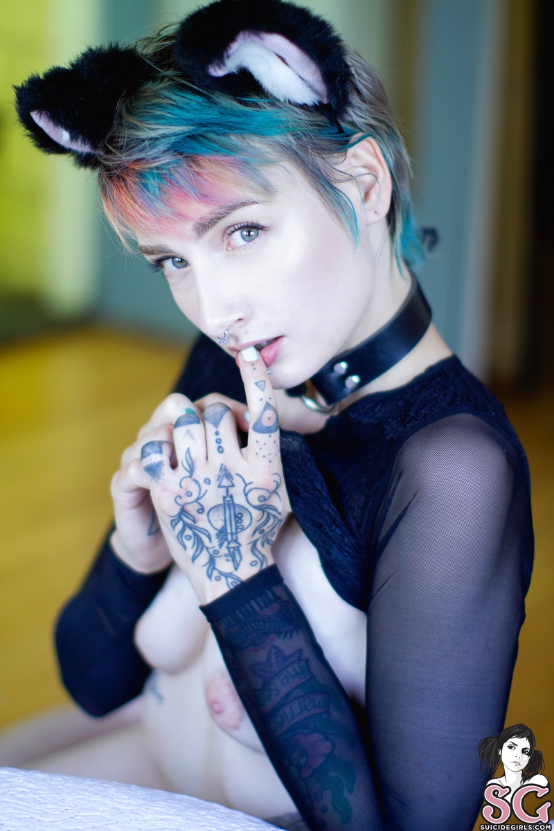 stormyent-myfavoritecat-25.jpg