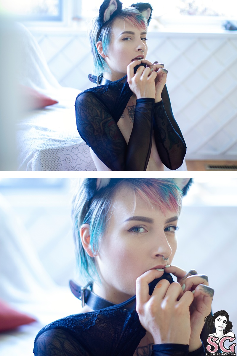 stormyent-myfavoritecat-31.jpg