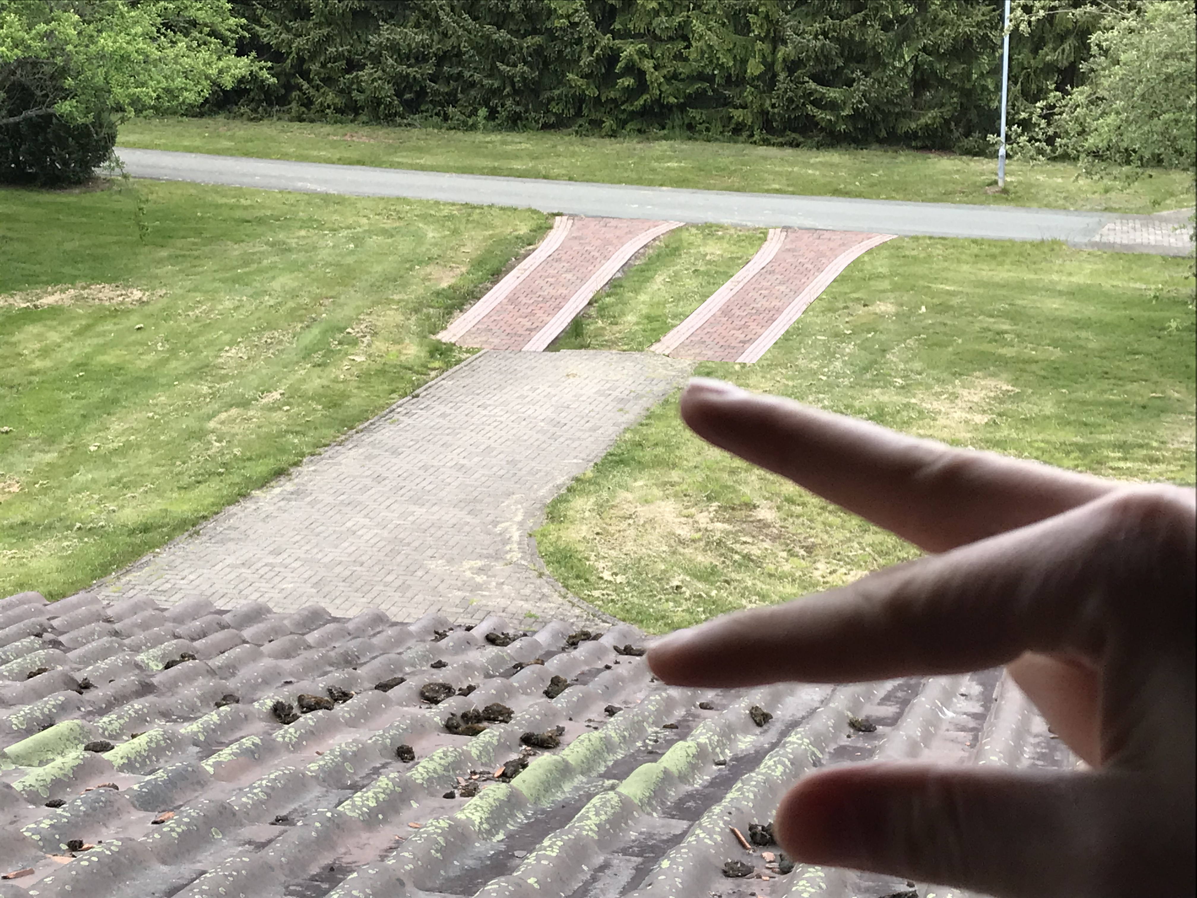 weg.jpg