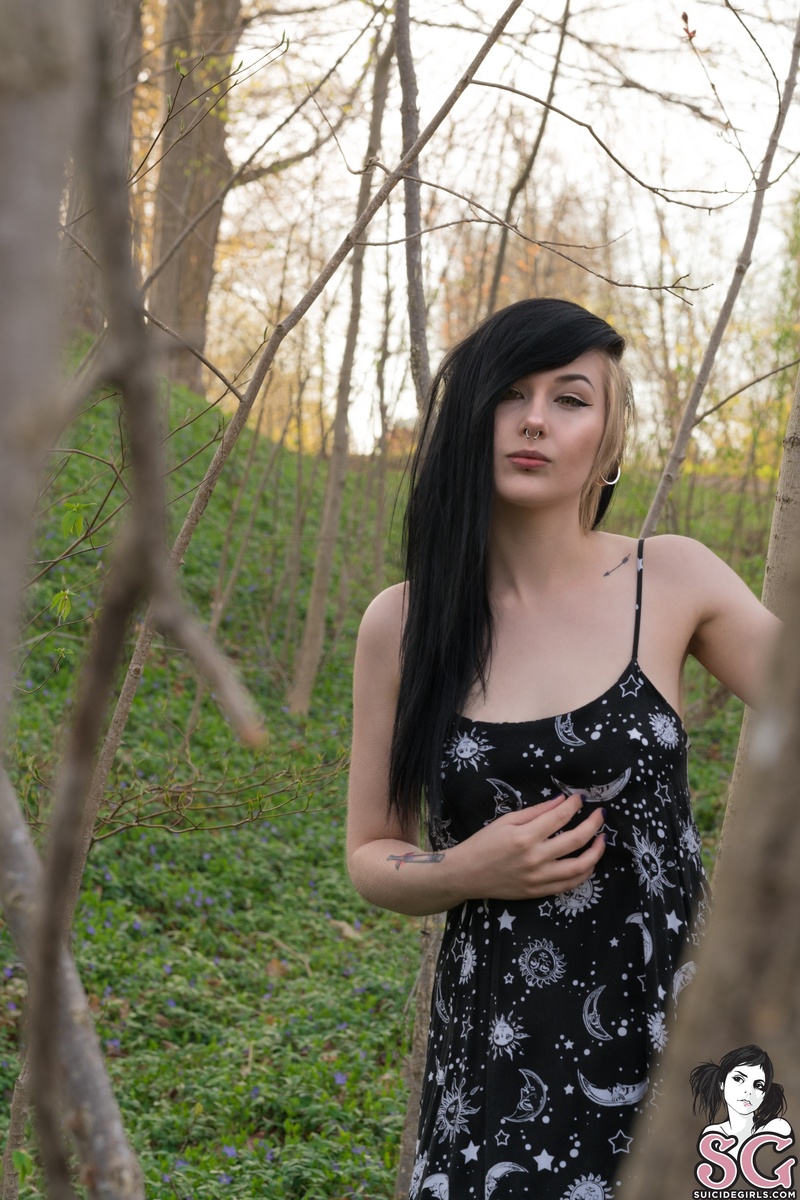 obsidian-weedsofathens-05.jpg