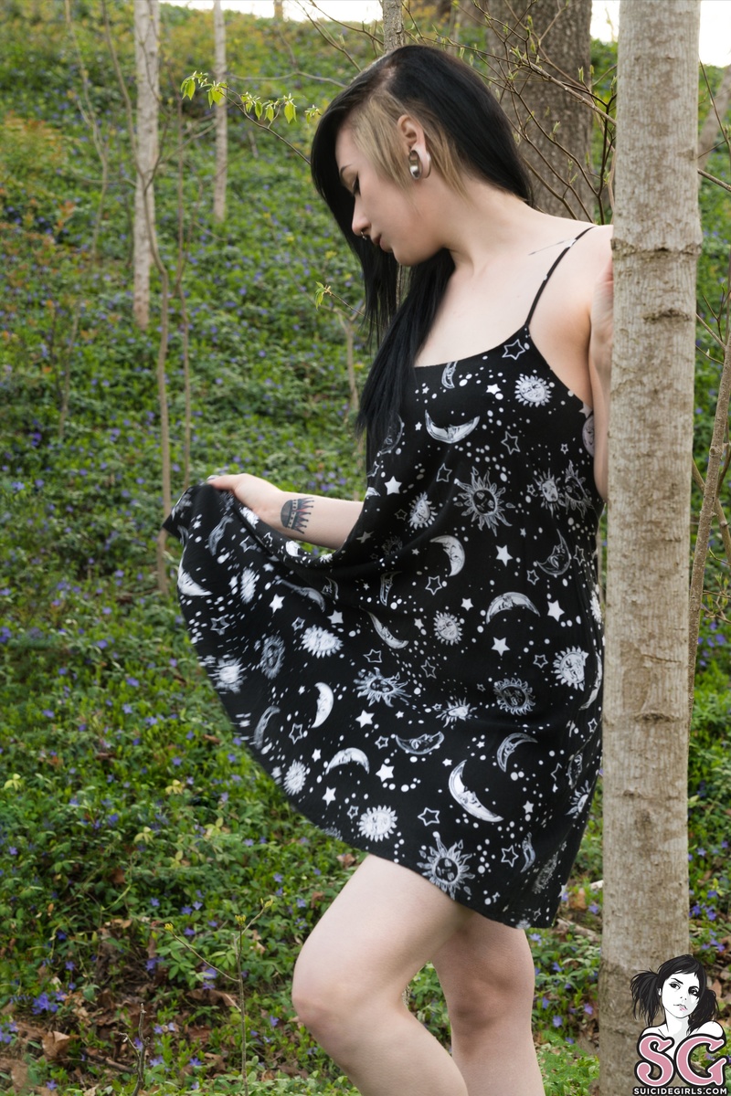 obsidian-weedsofathens-15.jpg