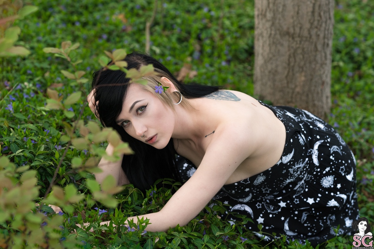 obsidian-weedsofathens-21.jpg