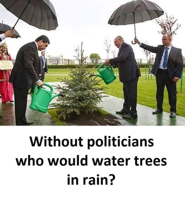 without politicians who would water tree in rain ?