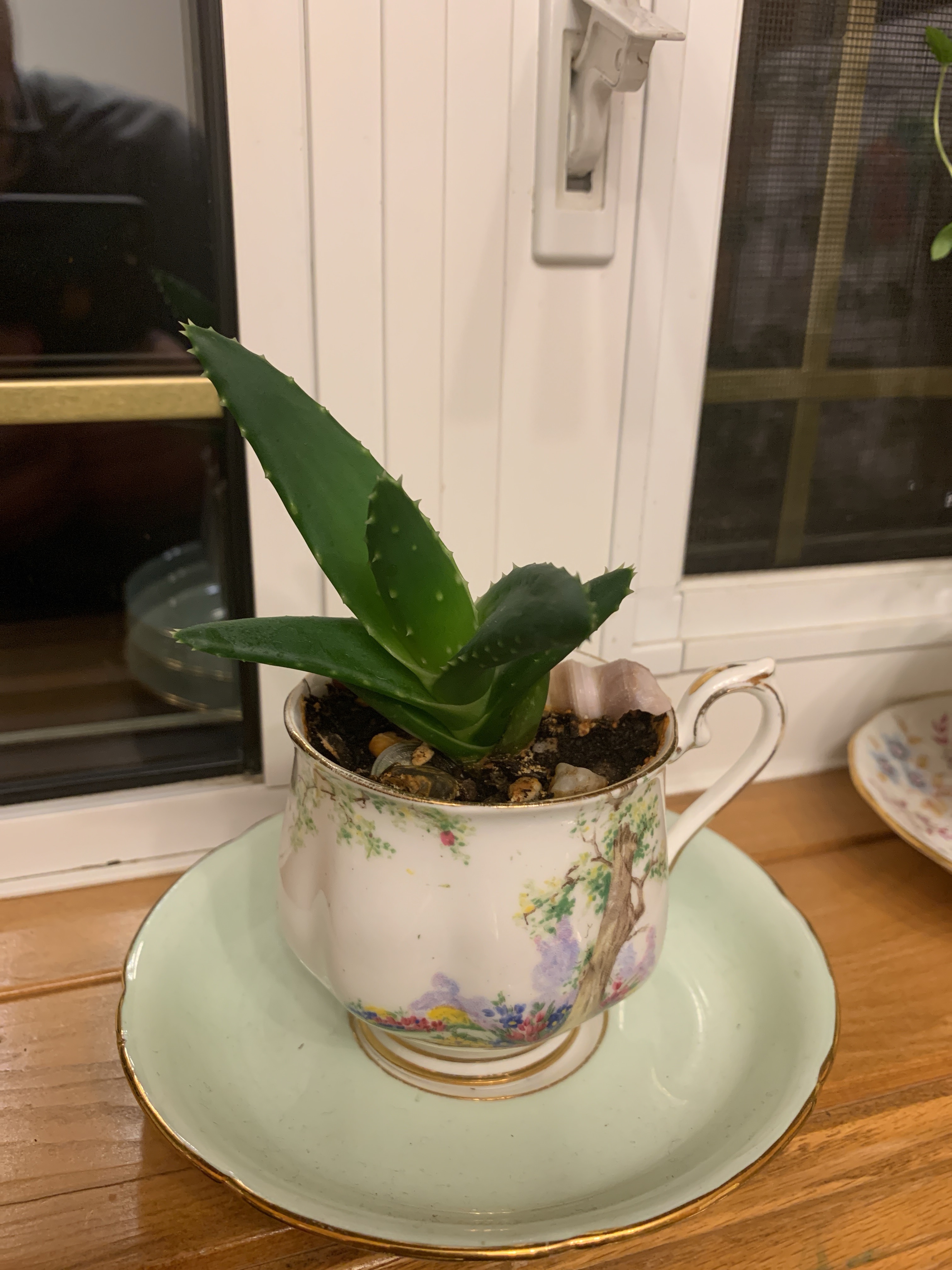 file.jpg