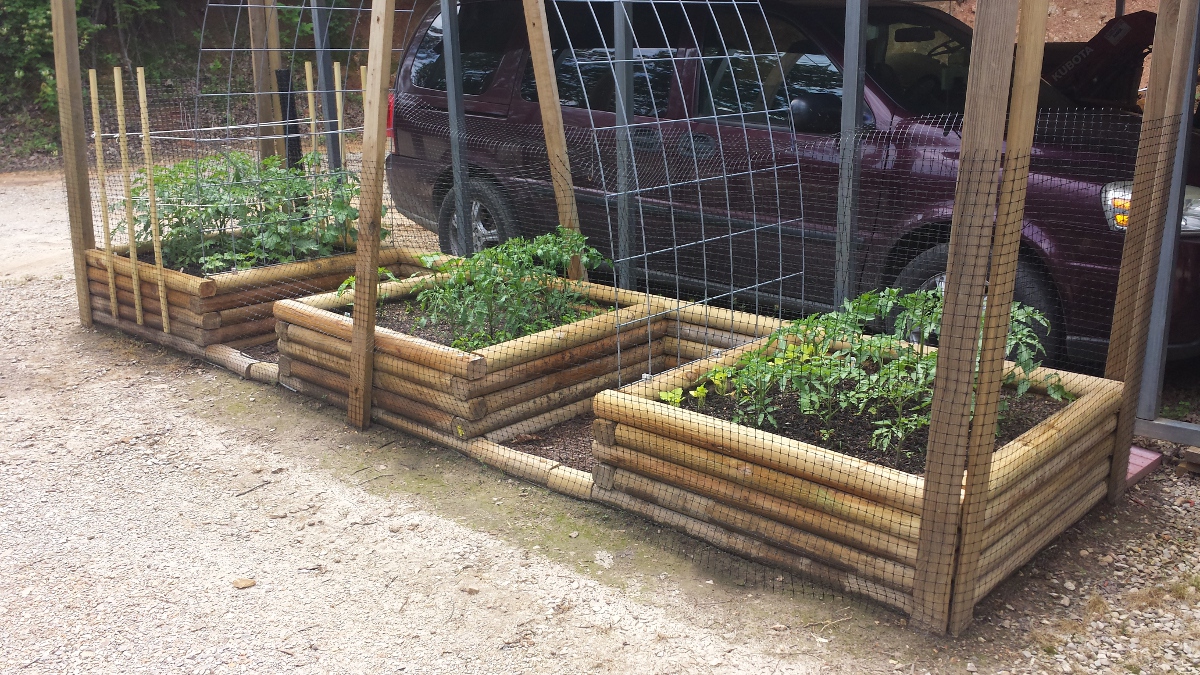 raised-bed-02.jpg