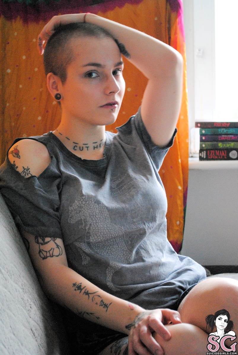 evilpaca-untitled-03.jpg