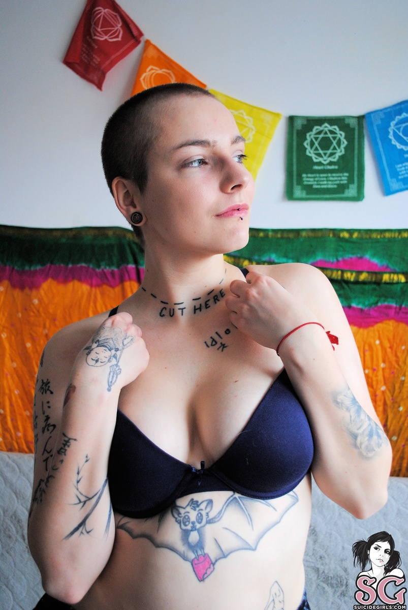evilpaca-untitled-15.jpg