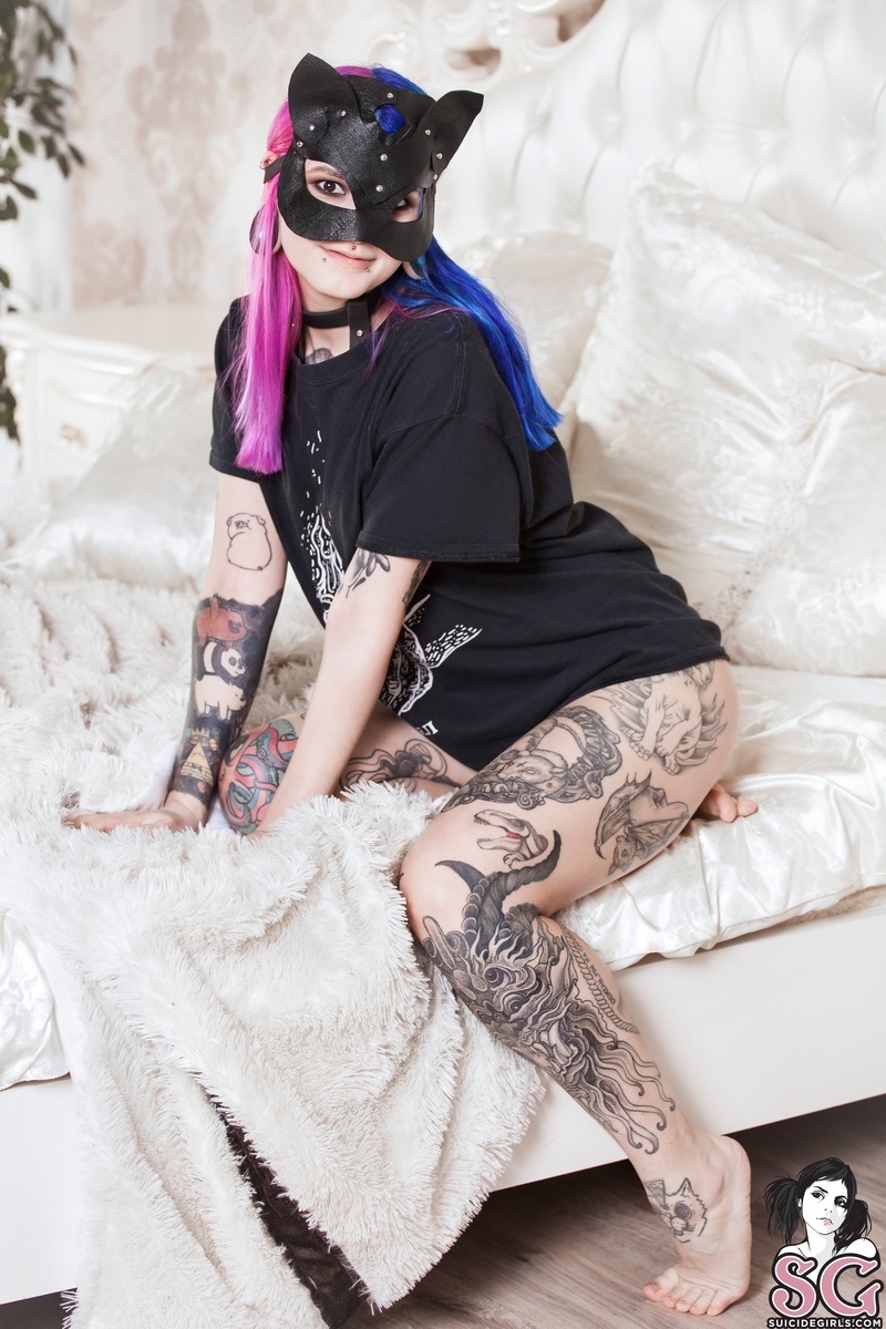 blueberryheart-pussycat-03.jpg