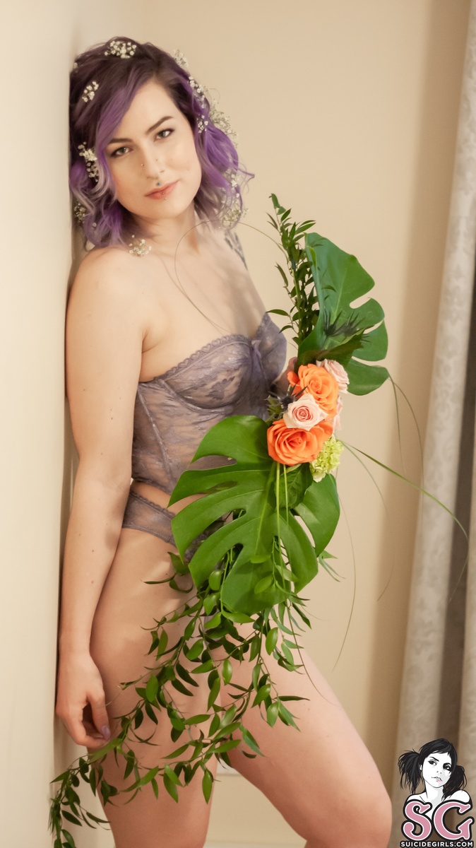 solstice-inbloom-03.jpg