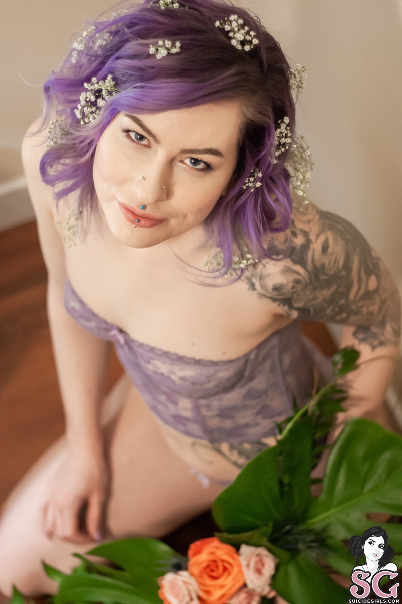 solstice-inbloom-05.jpg
