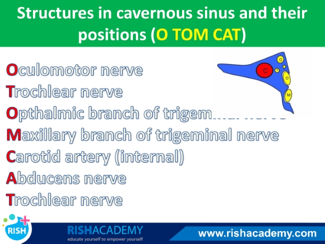 Slide1-Flashcard-4.jpg