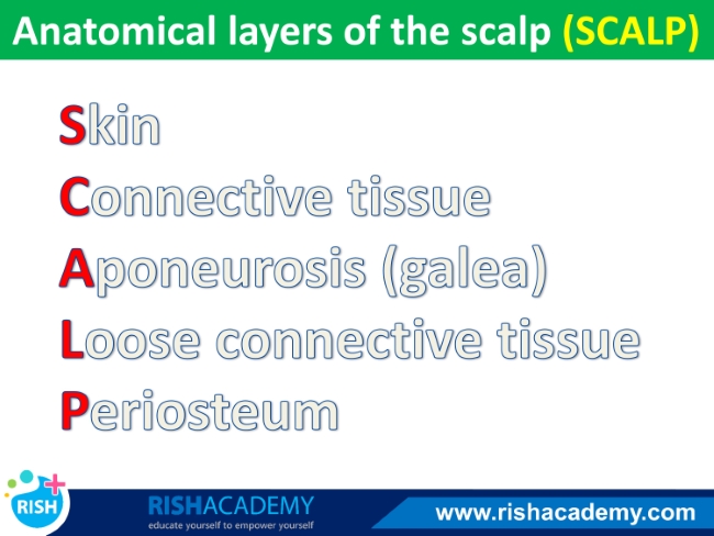 Slide2-Flashcard-4.jpg