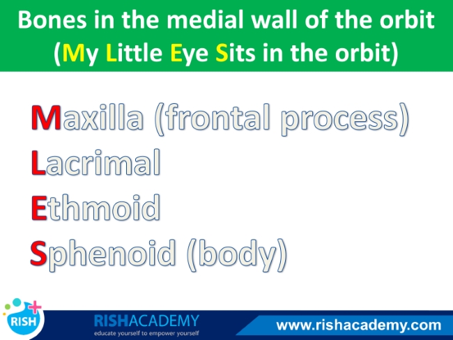 Slide3-Flashcard-4.jpg