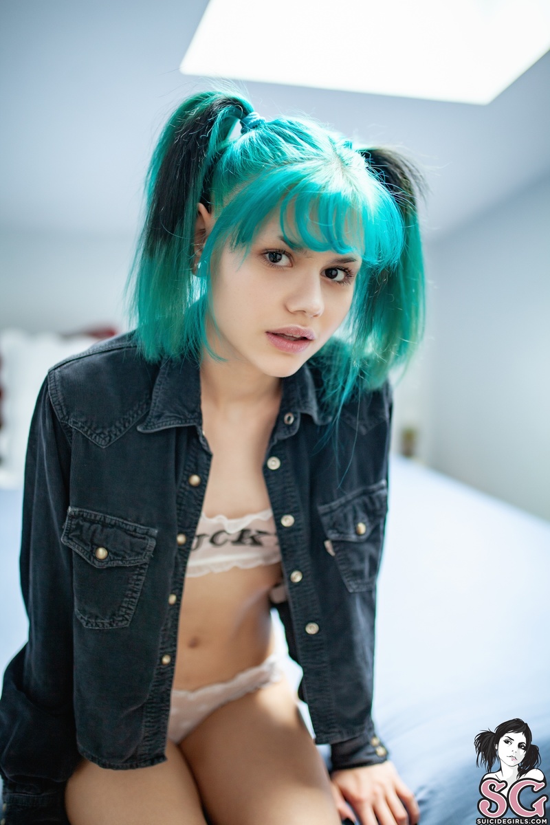 foxaurus-lucky-01.jpg