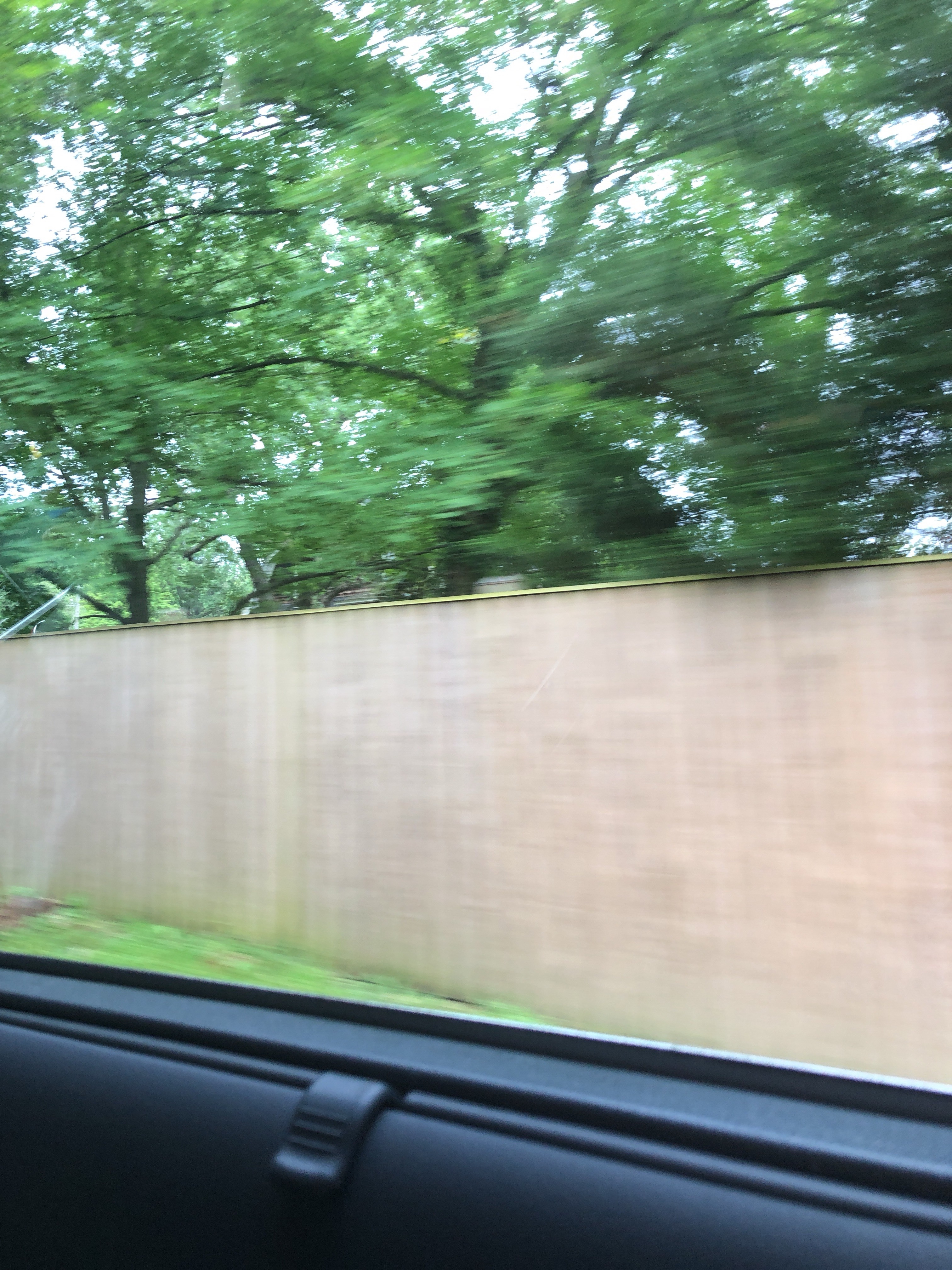 file.jpg