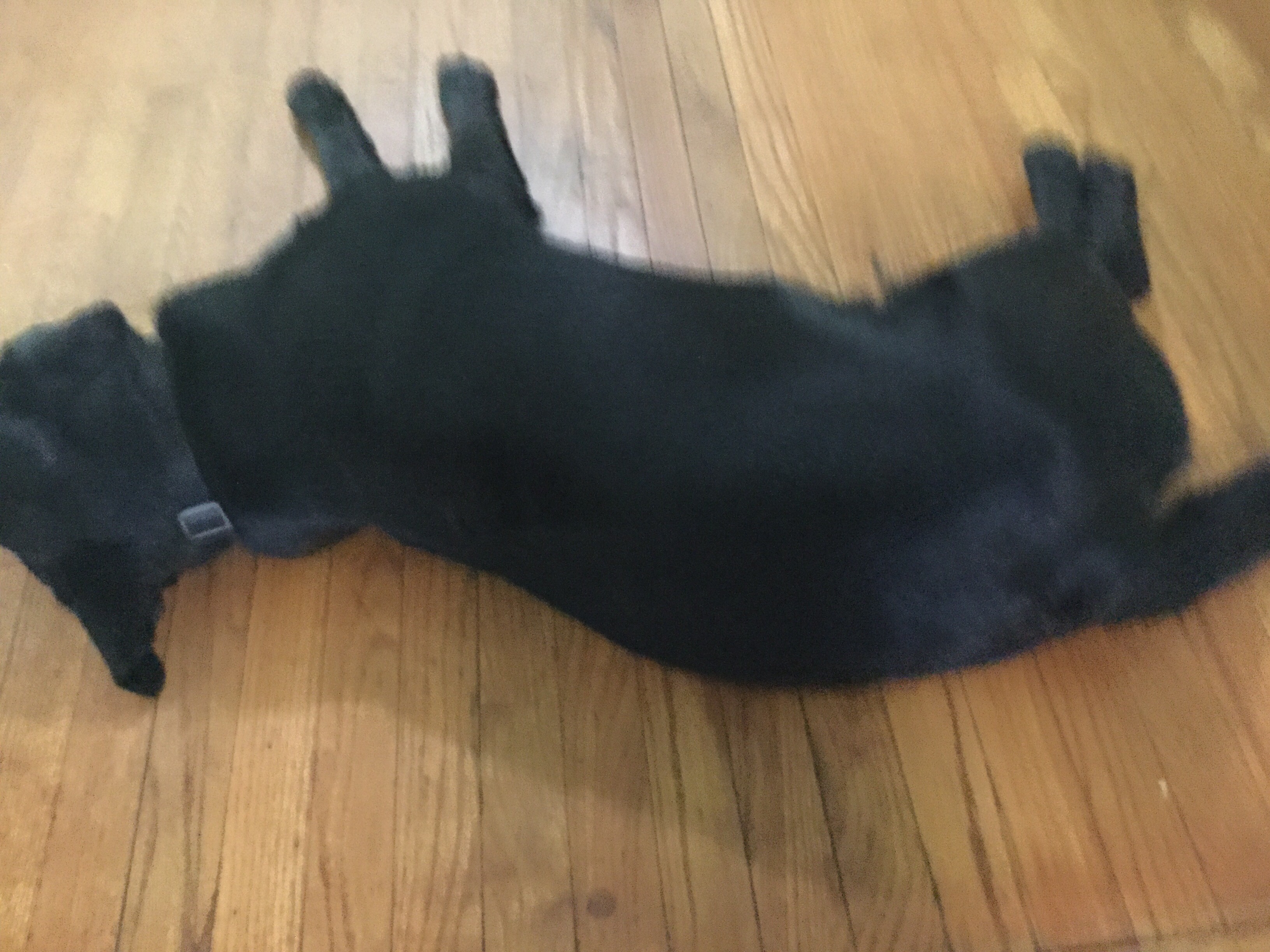 file.jpg