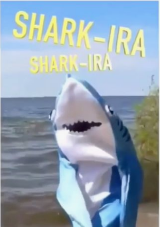 sharkira.png