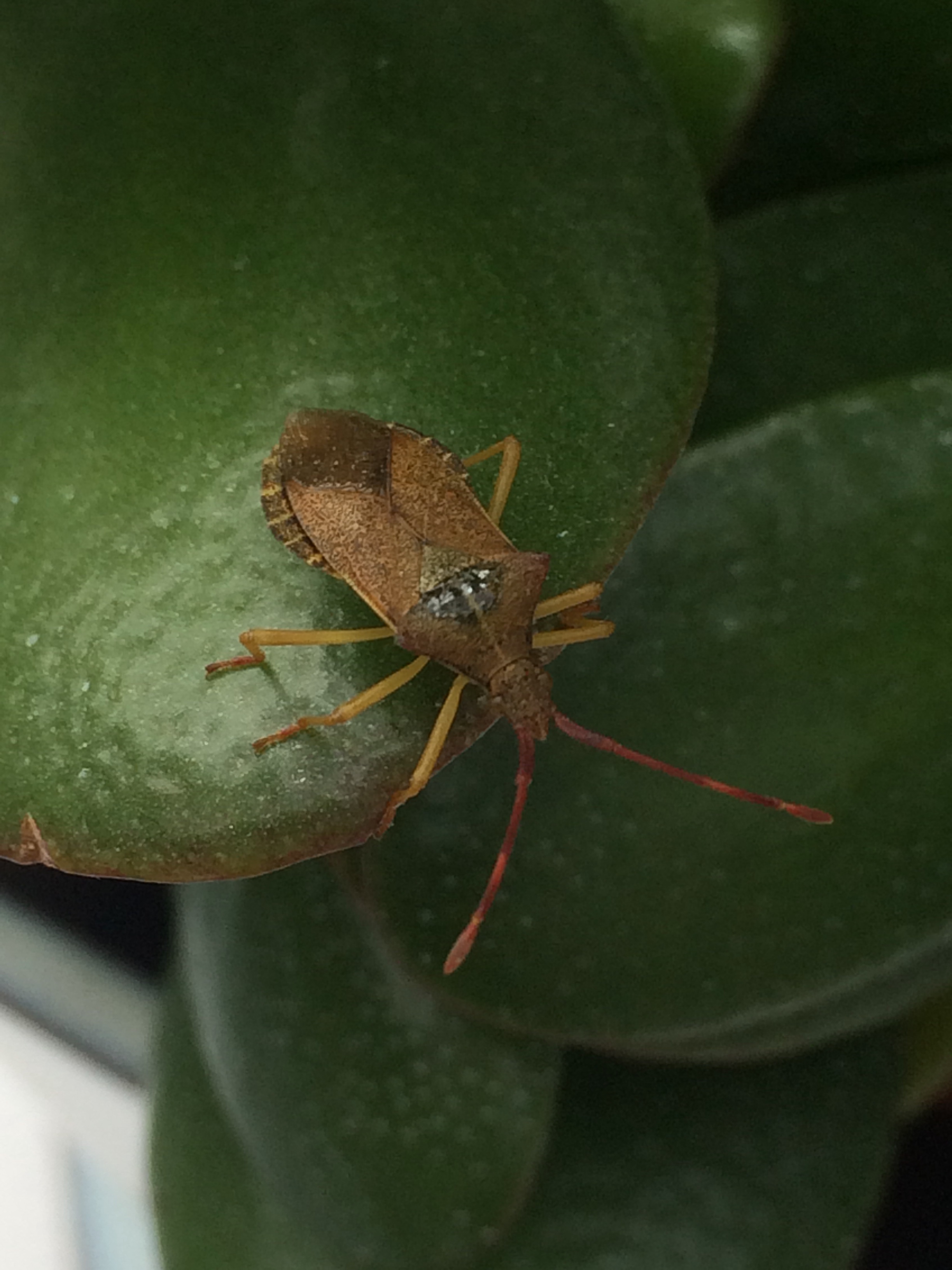 file.jpg