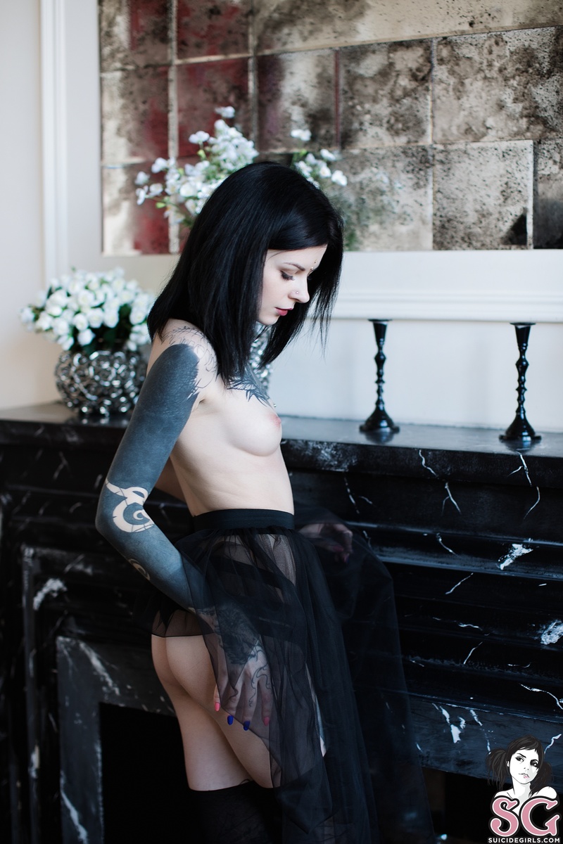 glameow-blackswan-07.jpg