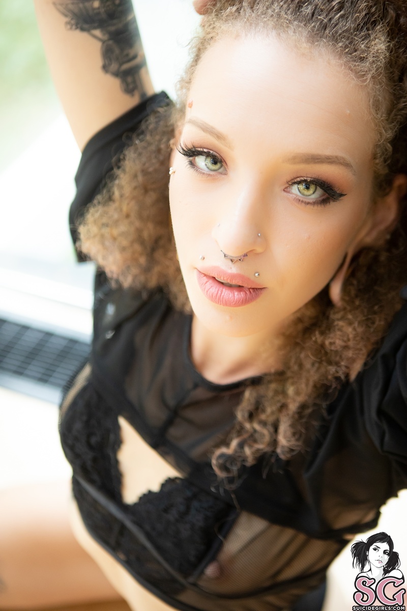 bizzy-translucency-13.jpg