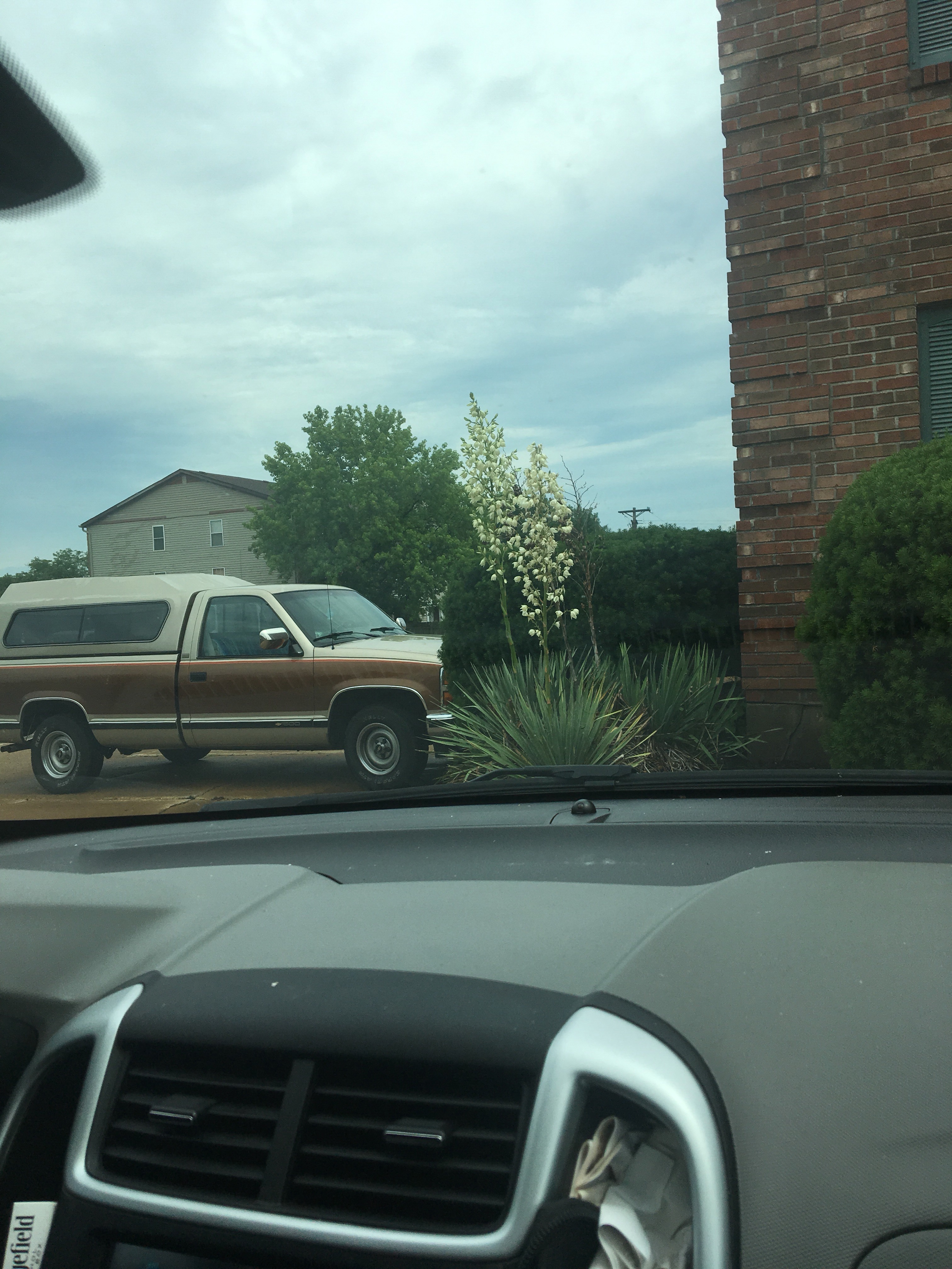 file.jpg