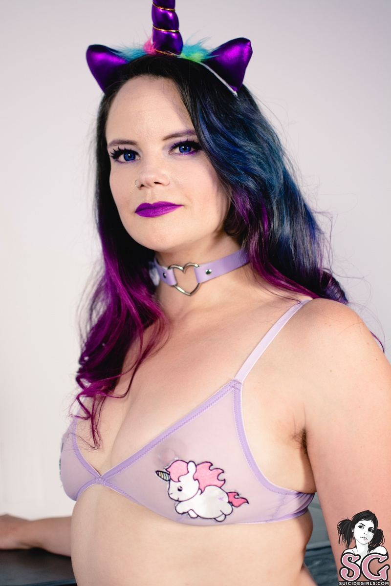 zory-unicorny-03.jpg