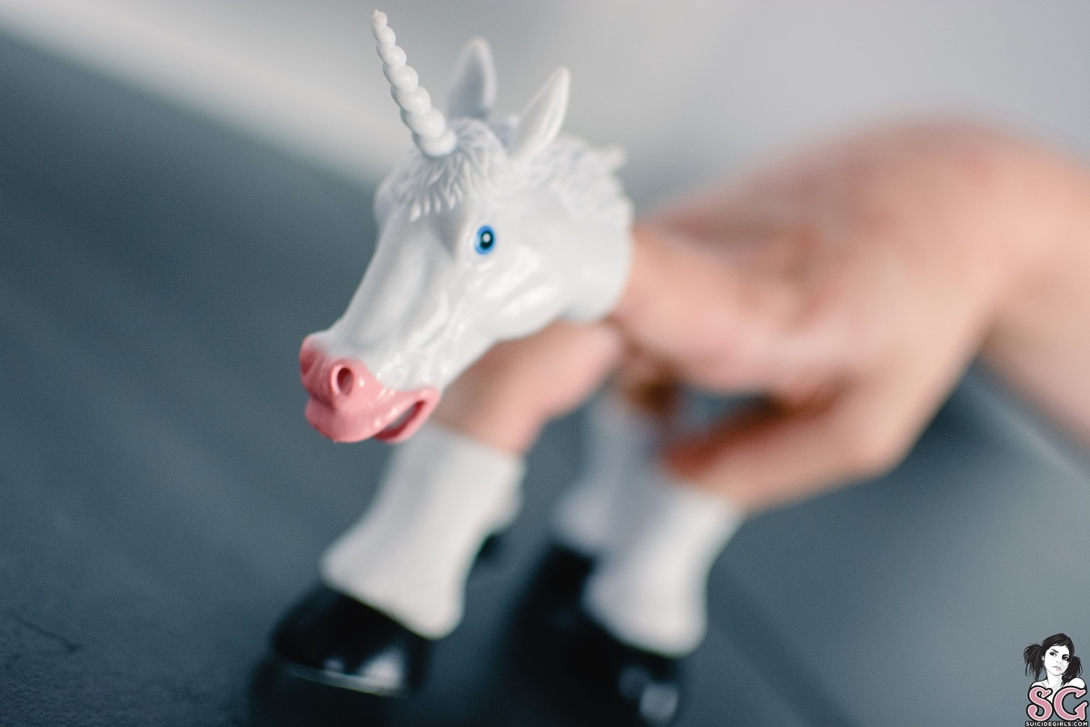 zory-unicorny-07.jpg