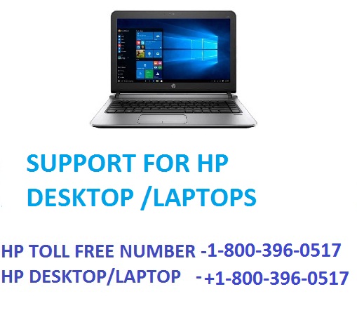 Contact US - Help & Support