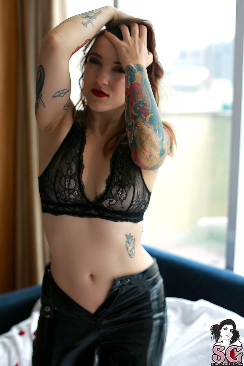 velvetw-latravista-05.jpg