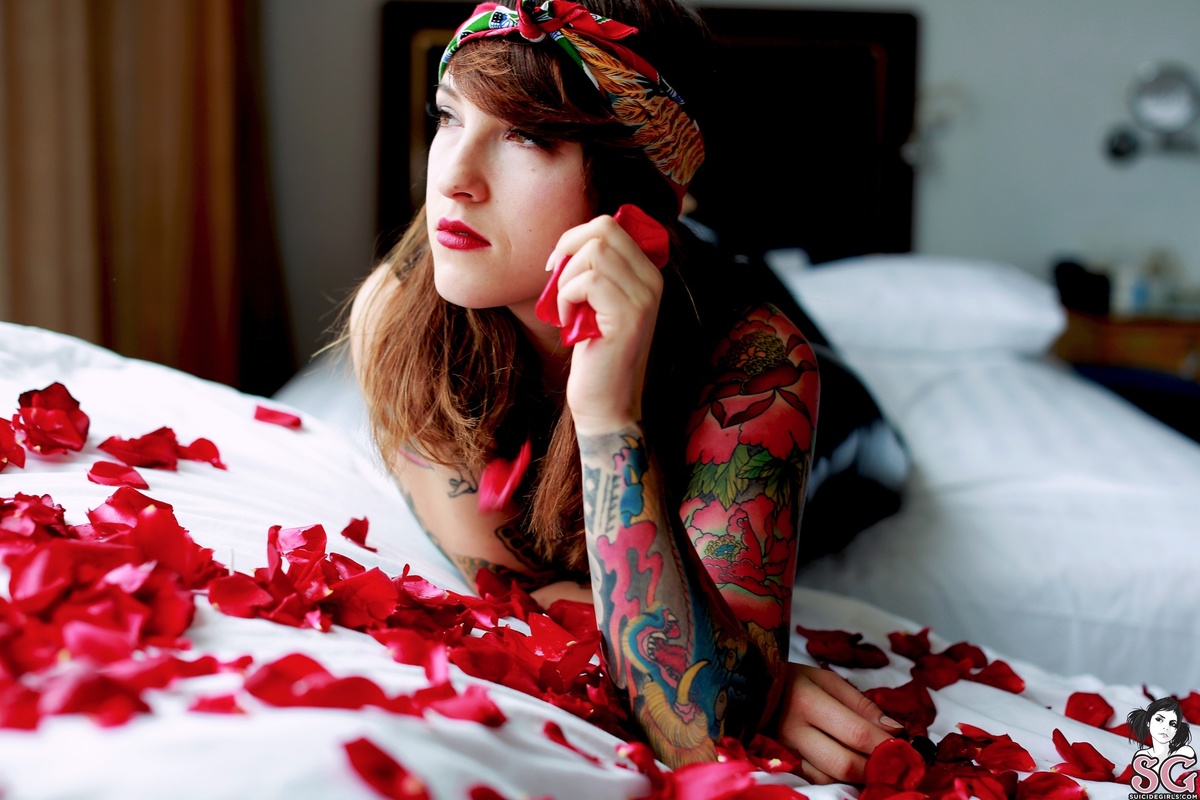 velvetw-latravista-07.jpg