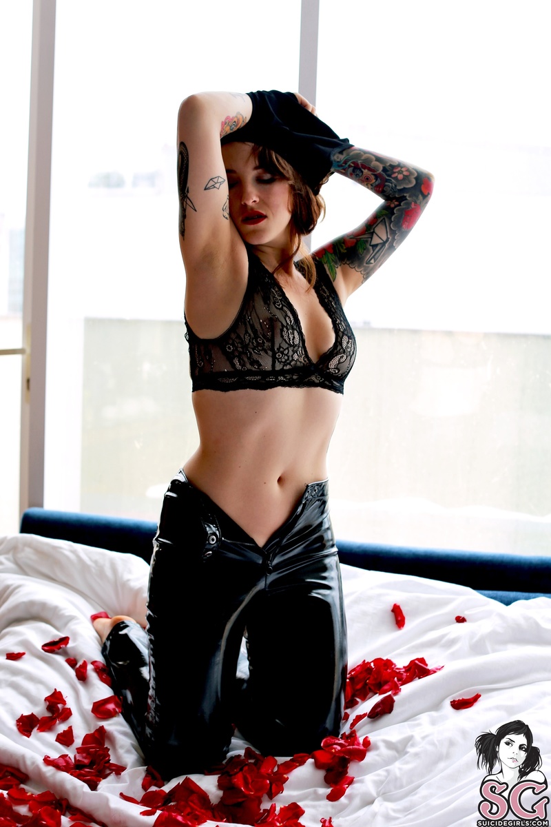 velvetw-latravista-11.jpg