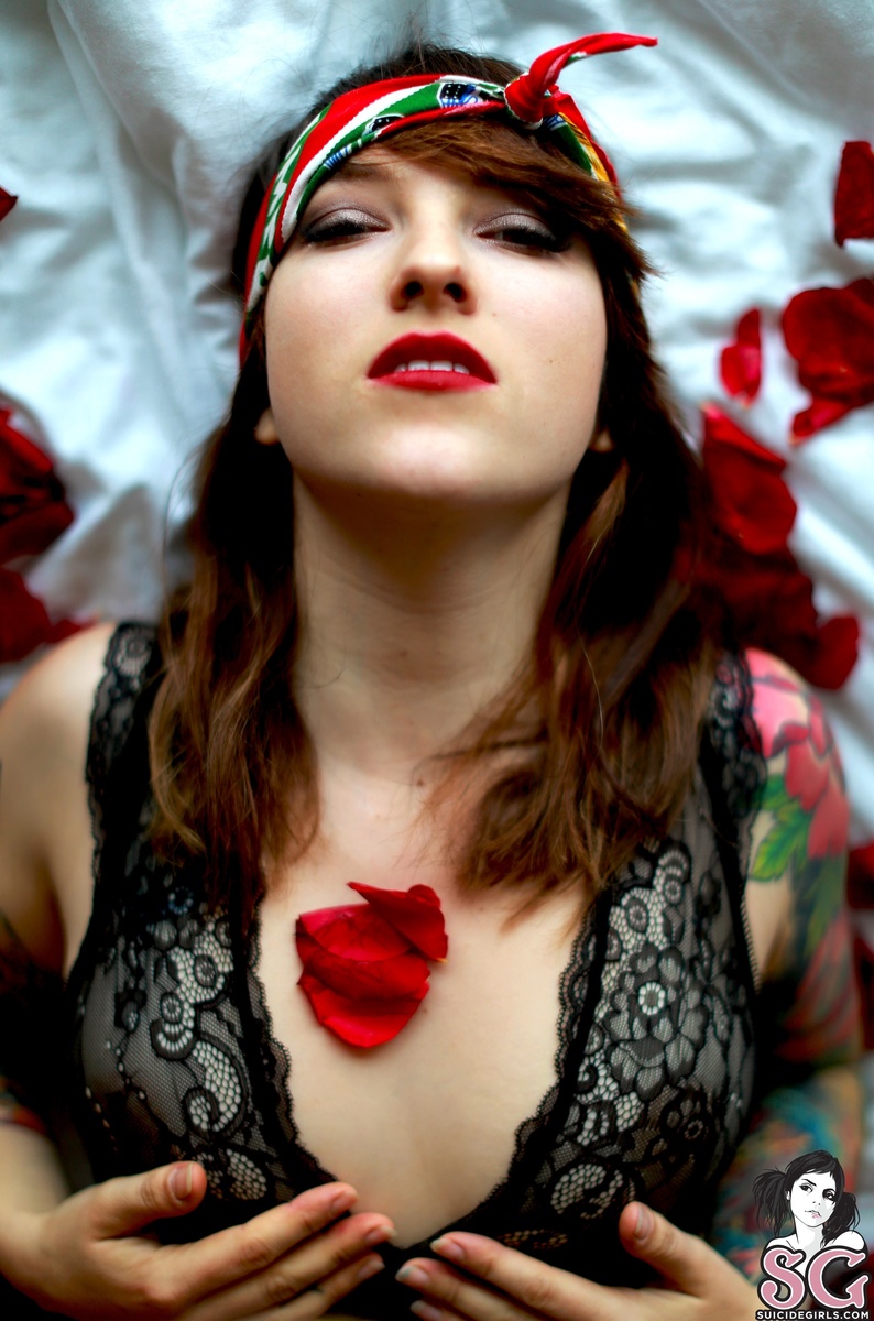 velvetw-latravista-21.jpg