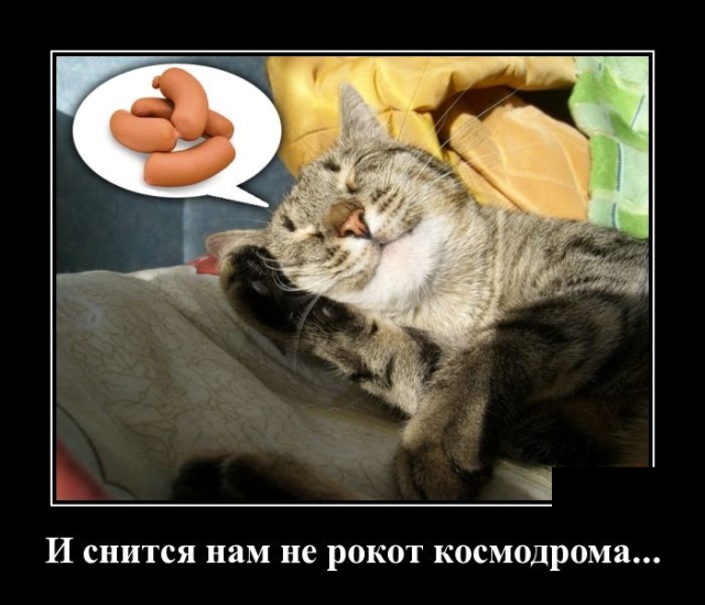 1556480050_0004.jpg
