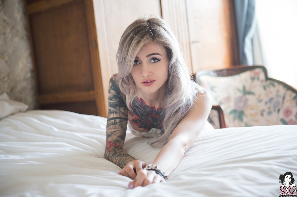 avrora-allalone-13.jpg