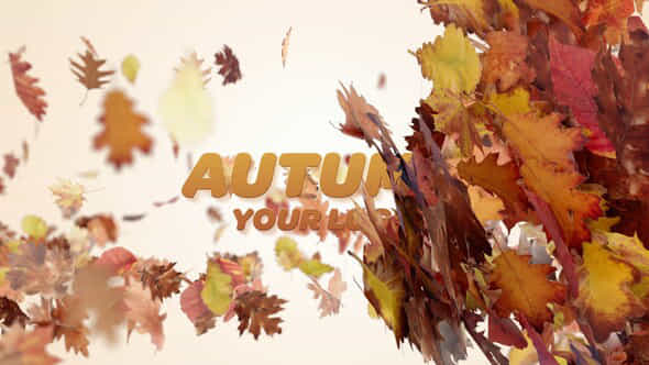 59741374-autumn-logo.jpg