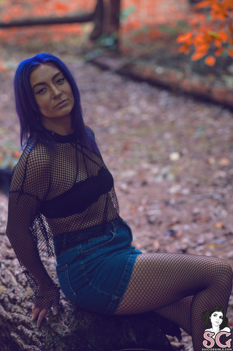 missfierce-throughthewoods-01.jpg