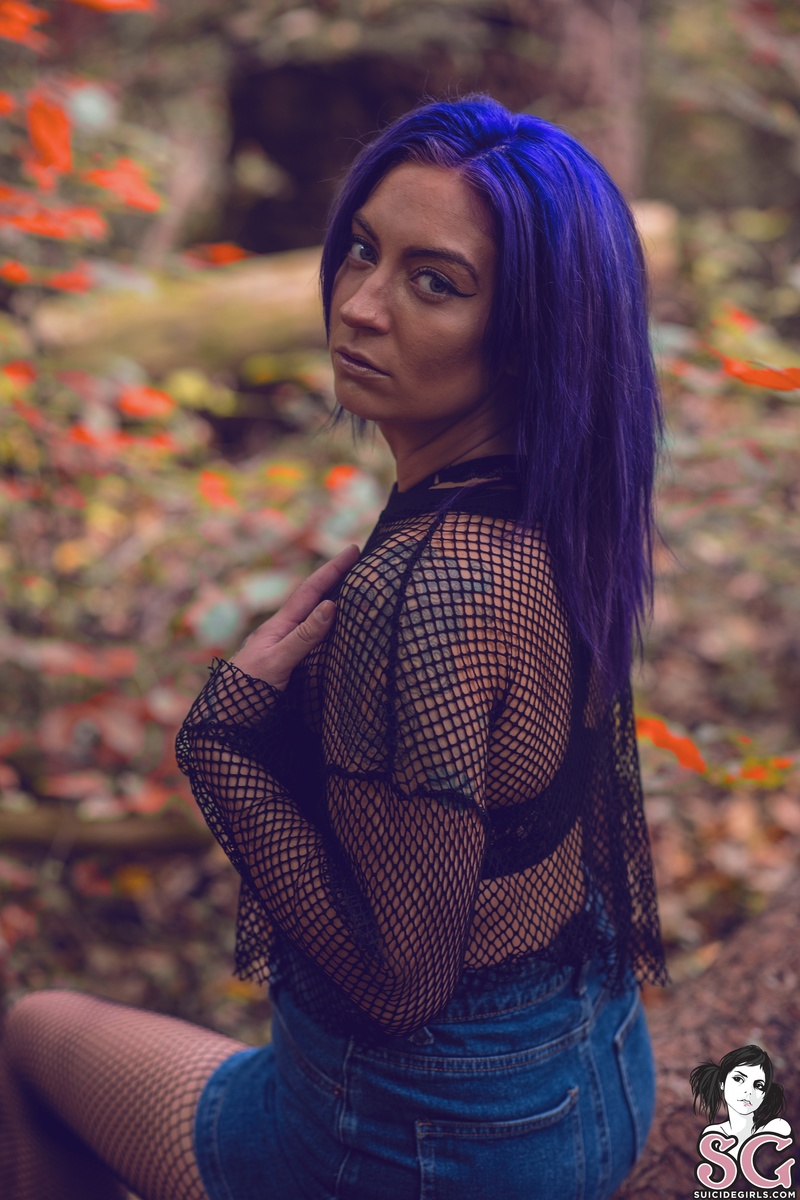 missfierce-throughthewoods-03.jpg