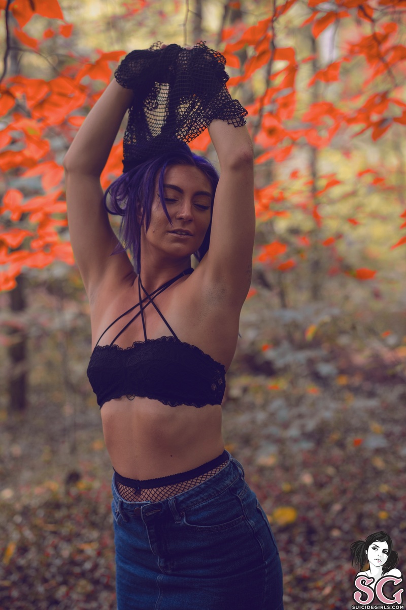 missfierce-throughthewoods-07.jpg