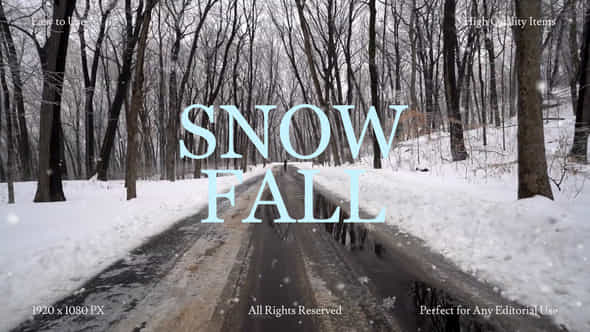 60225070-snow-fall.jpg