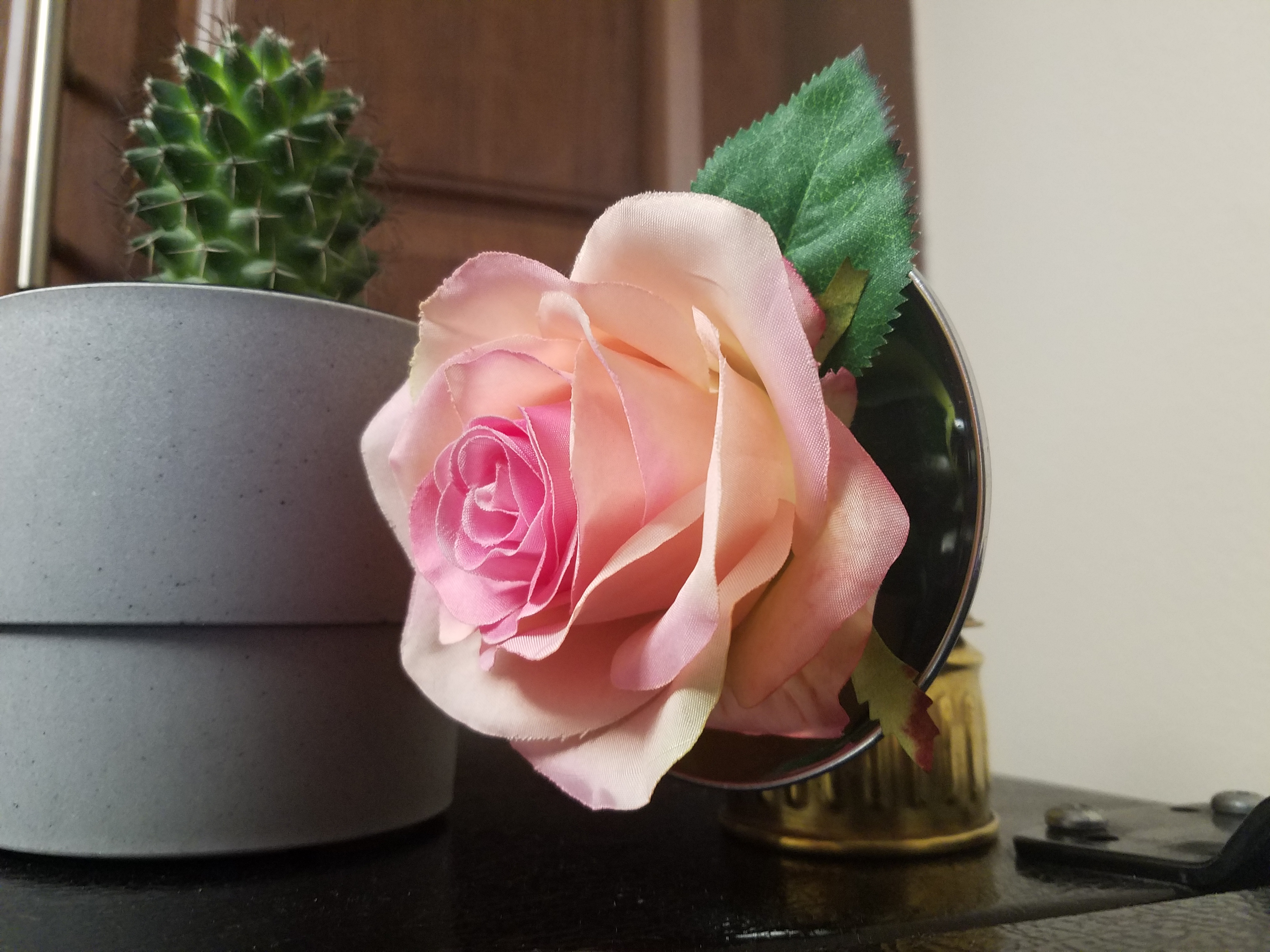 20190712_161223.jpg
