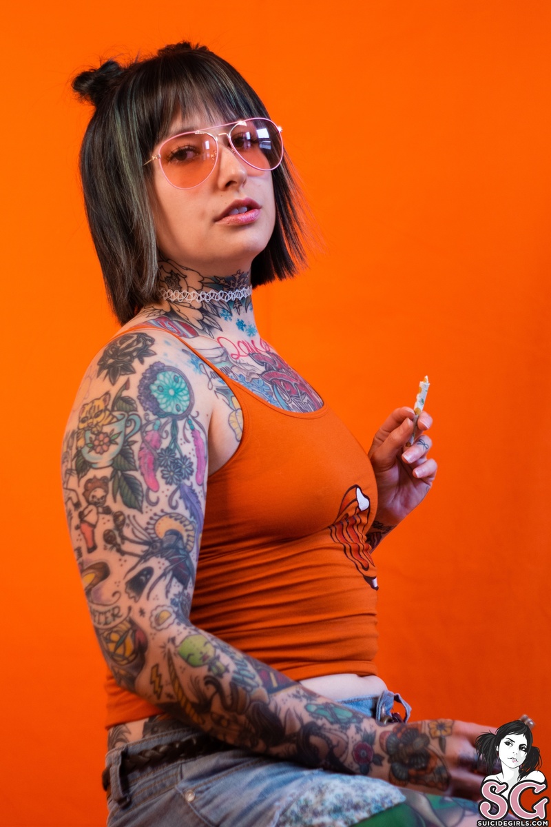 jessacat-dreamsicle-01.jpg