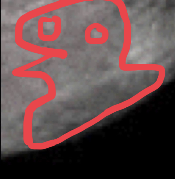 D4581039-480D-4C36-BFCA-4B2A82733CC0.jpeg