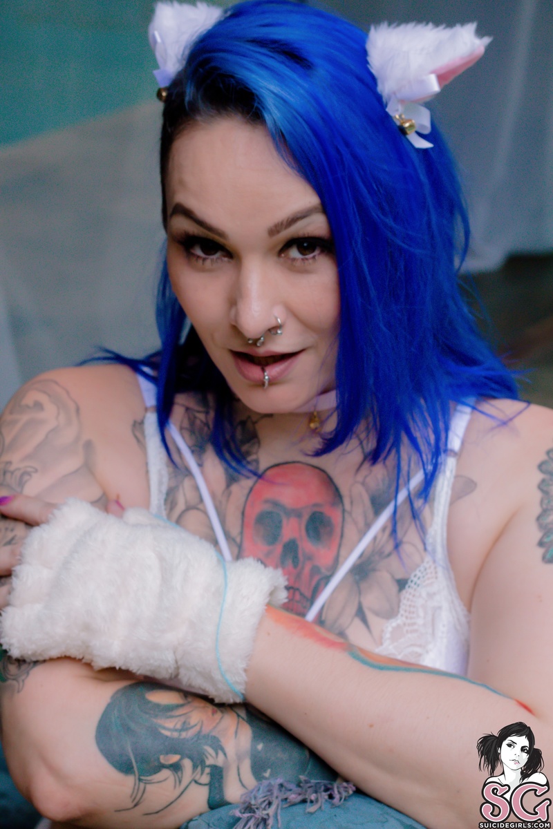 miahblue-adoptthatkitten-15.jpg