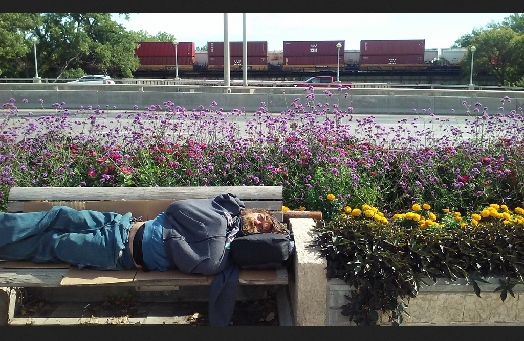 Sleeping Past Noon - [thor] @ flower bridge
