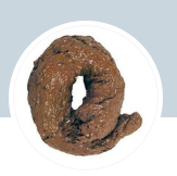 ECnDvpPWsAApCLm.png