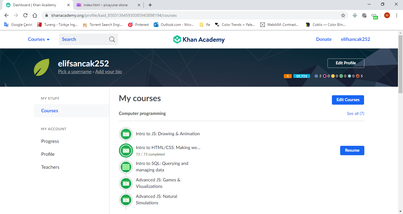 elifsancak-khanacademy