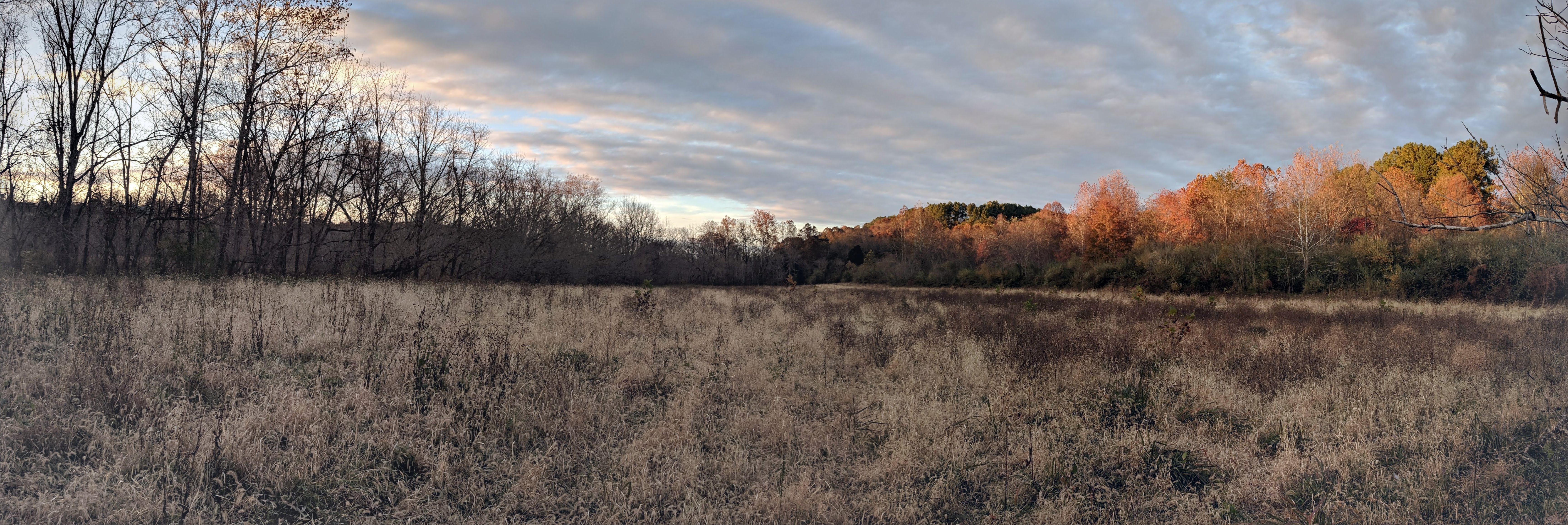 IMG_20181104_164921-PANO.jpg