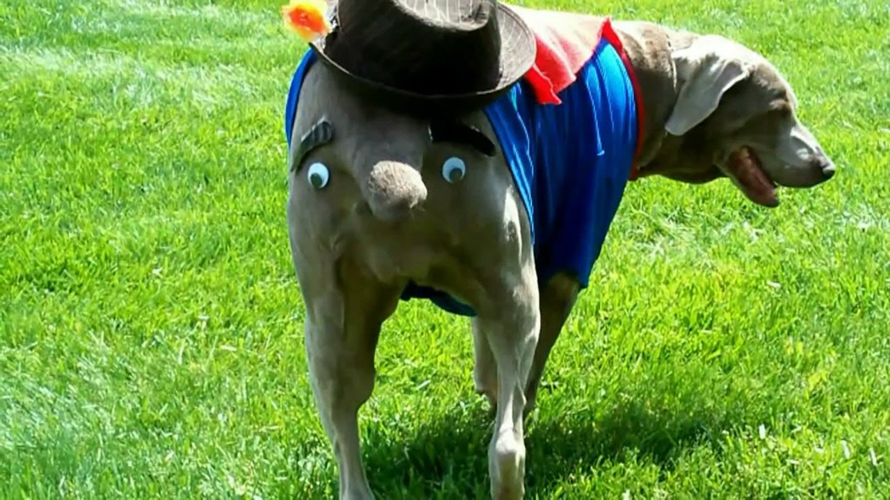 maxresdefault.jpg